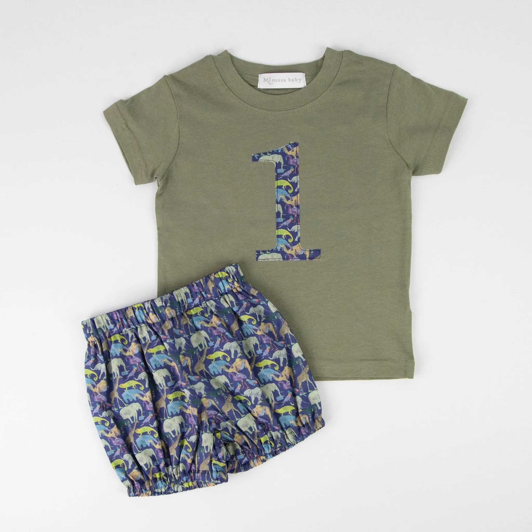 Birthday t-shirt and bloomer set