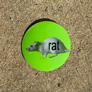 b(rat) sticker
