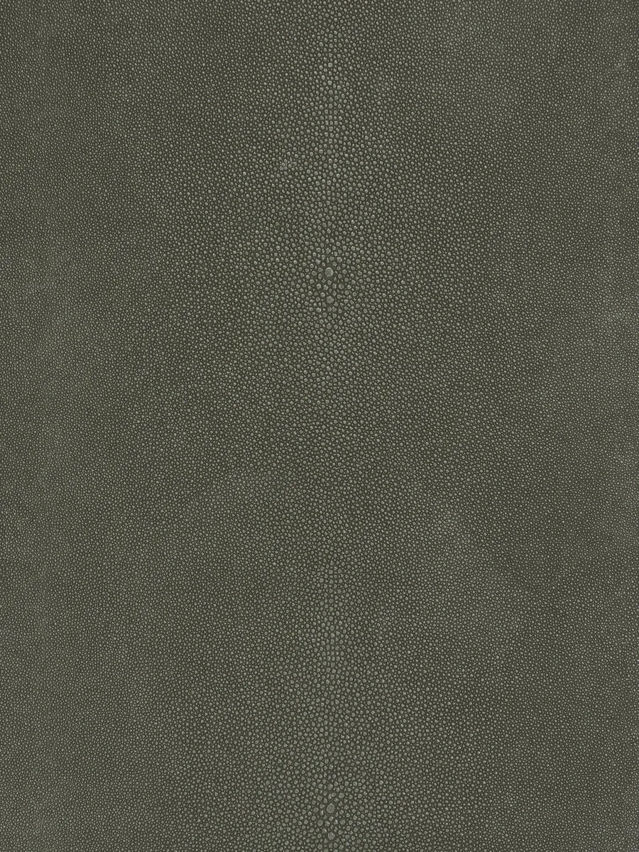 Canberra - Fossil