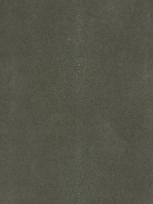 Canberra - Fossil
