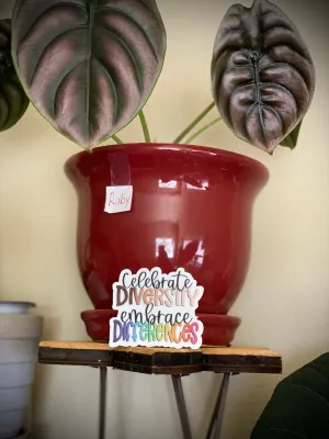 Celebrate Diversity Embrace Differences Stickers