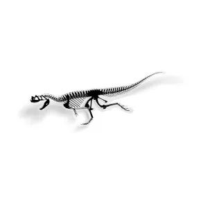 Ceratosaurus Fossil Dinosaur Sticker