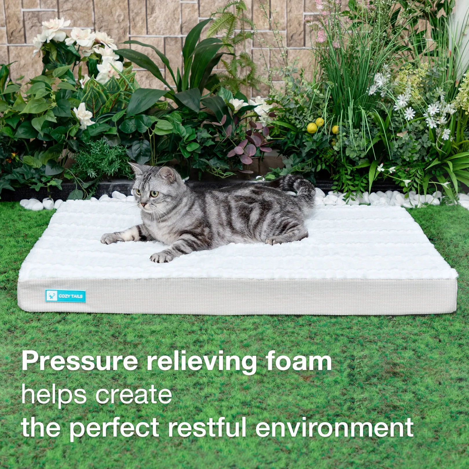 CT005  Premium Orthopedic Memory Foam Dog Bed