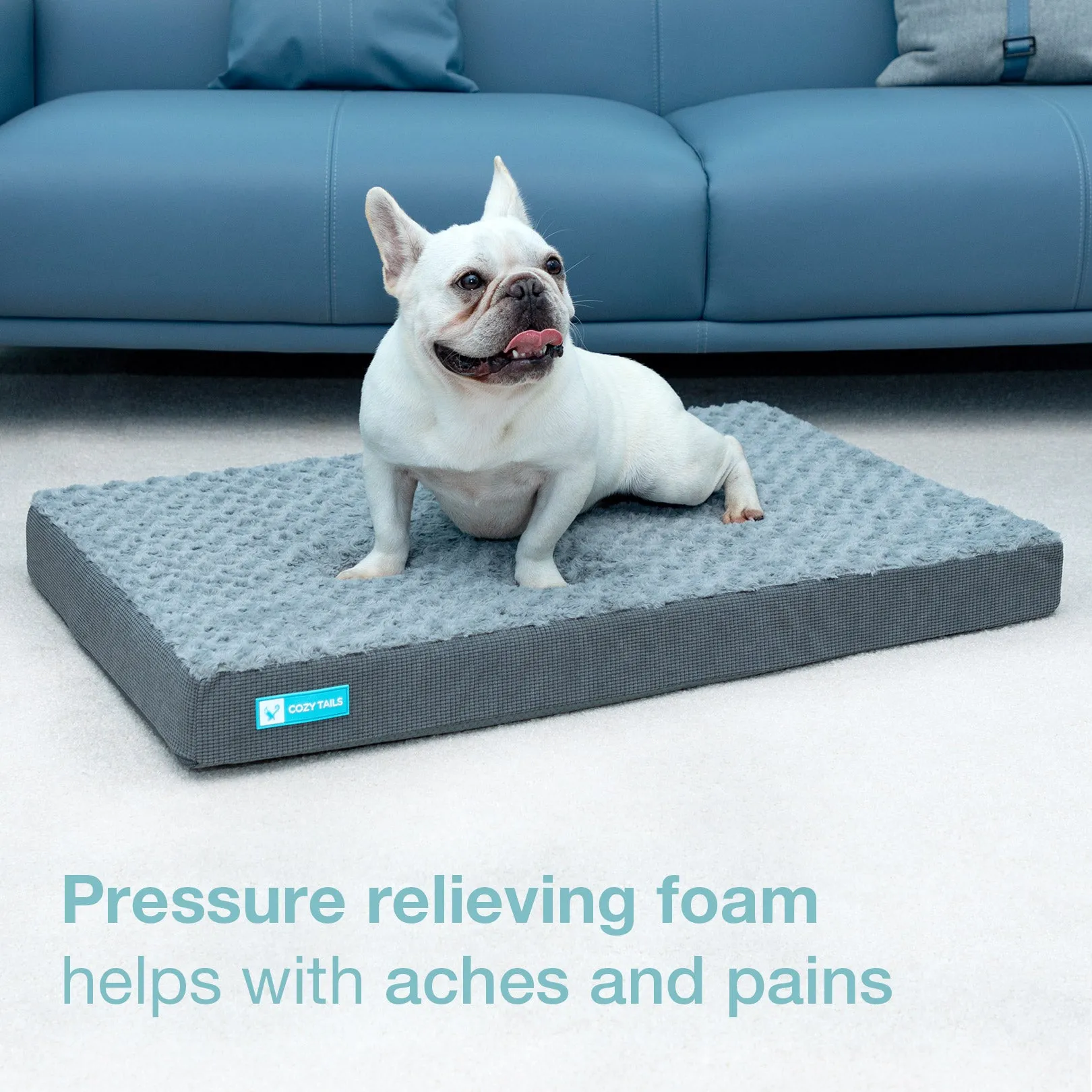 CT005  Premium Orthopedic Memory Foam Dog Bed