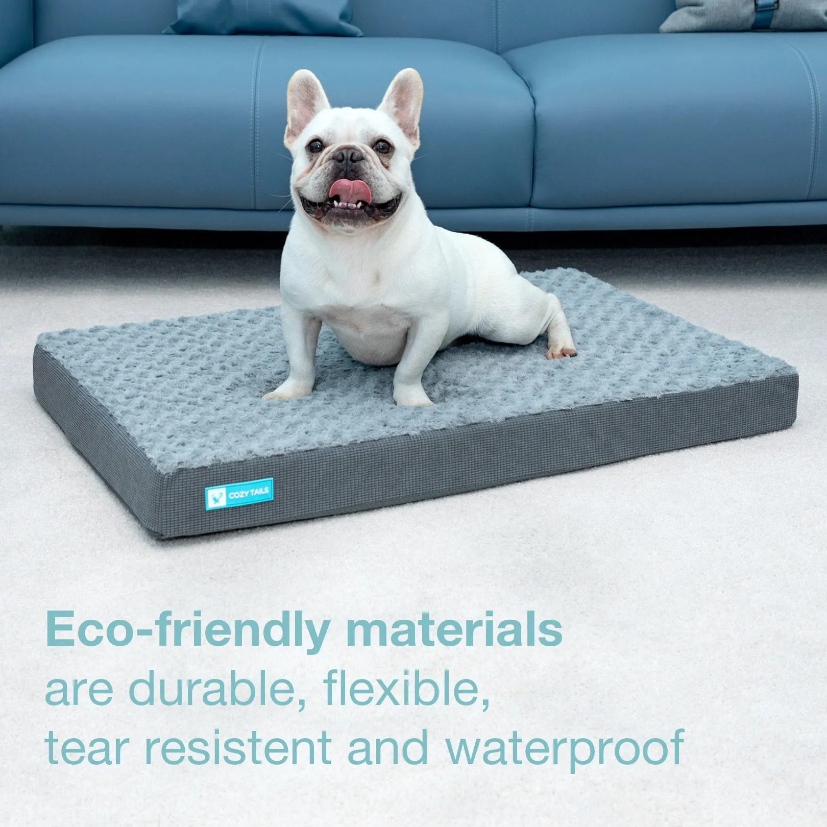CT005  Premium Orthopedic Memory Foam Dog Bed