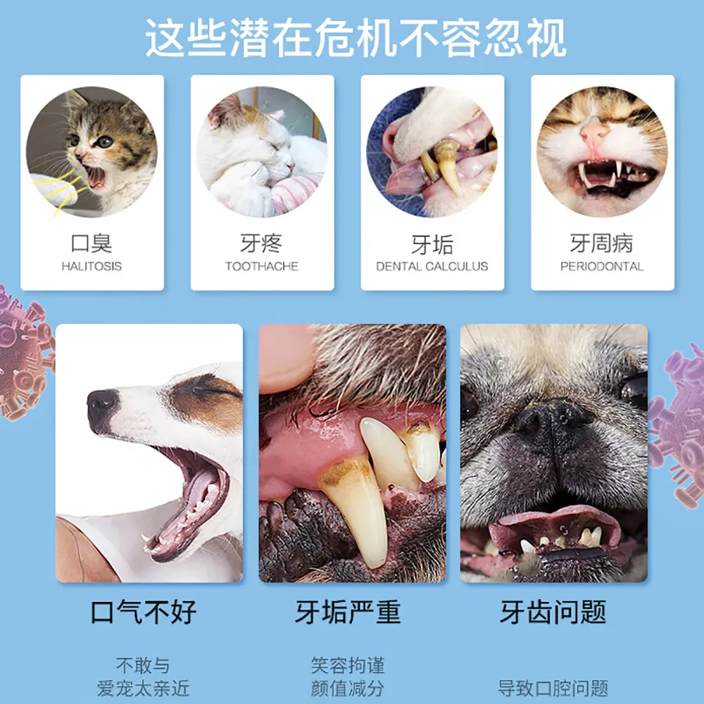 Dental Care Dog Teeth and Gum Health Kit
