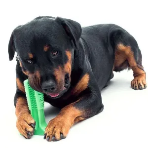 Dog Brushing Stick