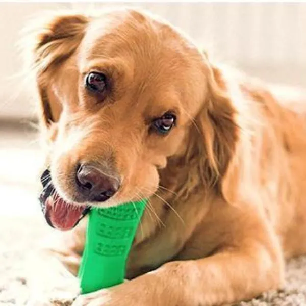 Dog Brushing Stick
