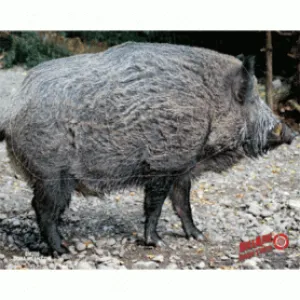 Duramesh Wild Boar Target