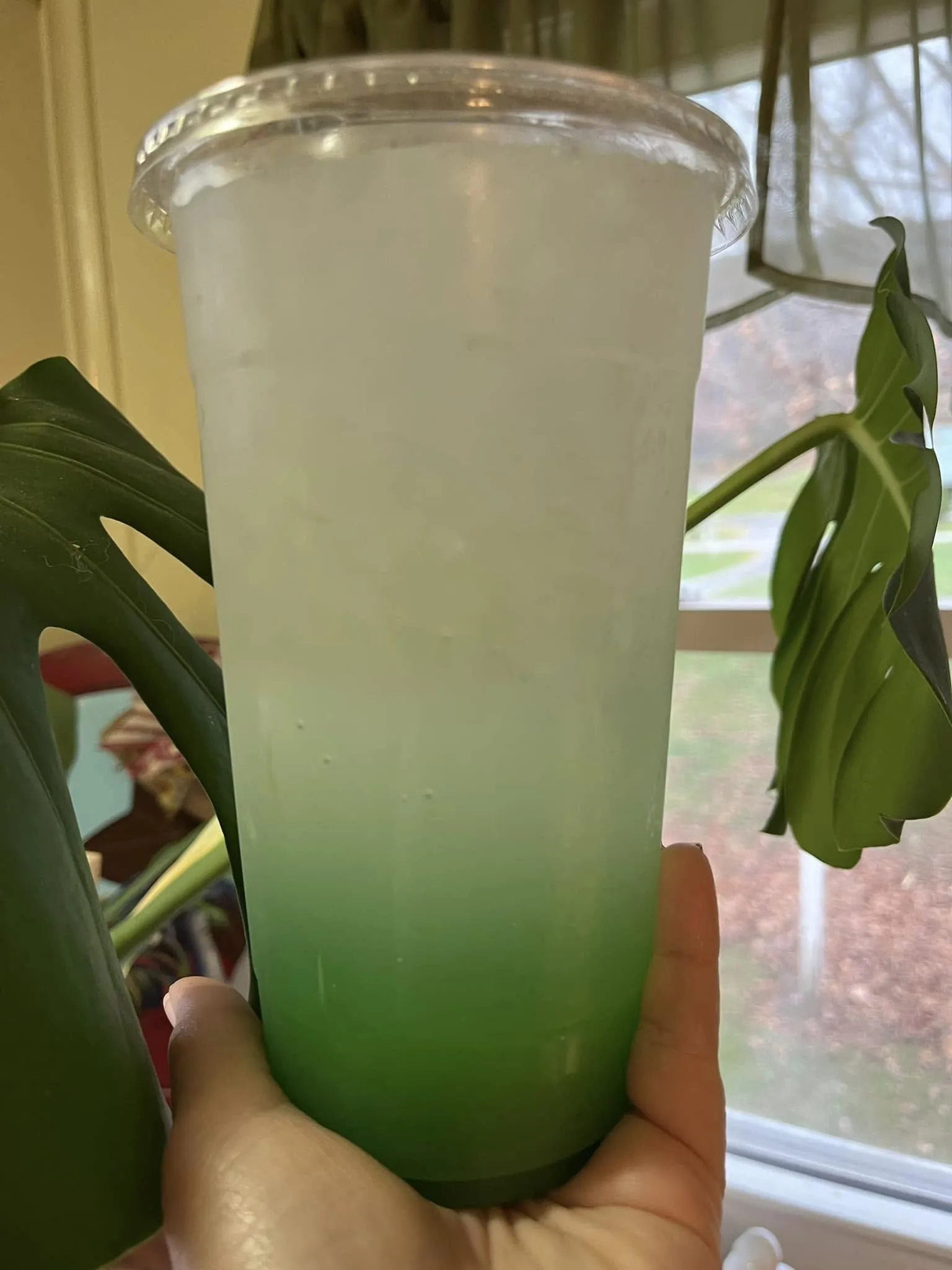 February Single Serve Packs Loaded Tea Bomb