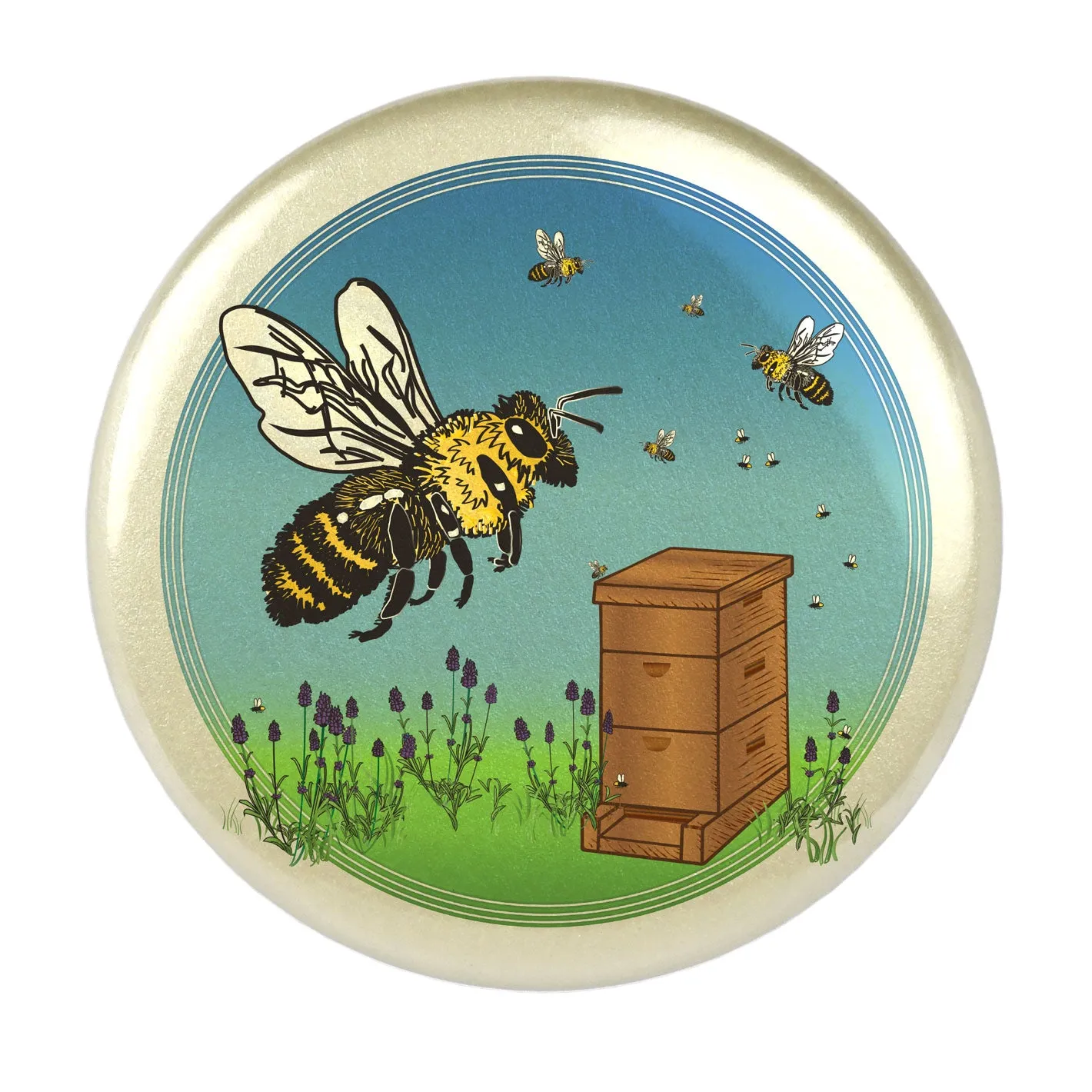 Honey Bee Magnet