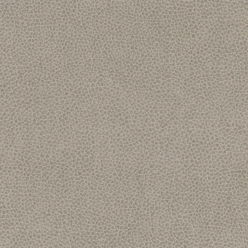 Nemo-Pebble