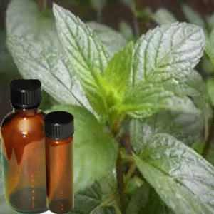 Oil Peppermint - Food Grade