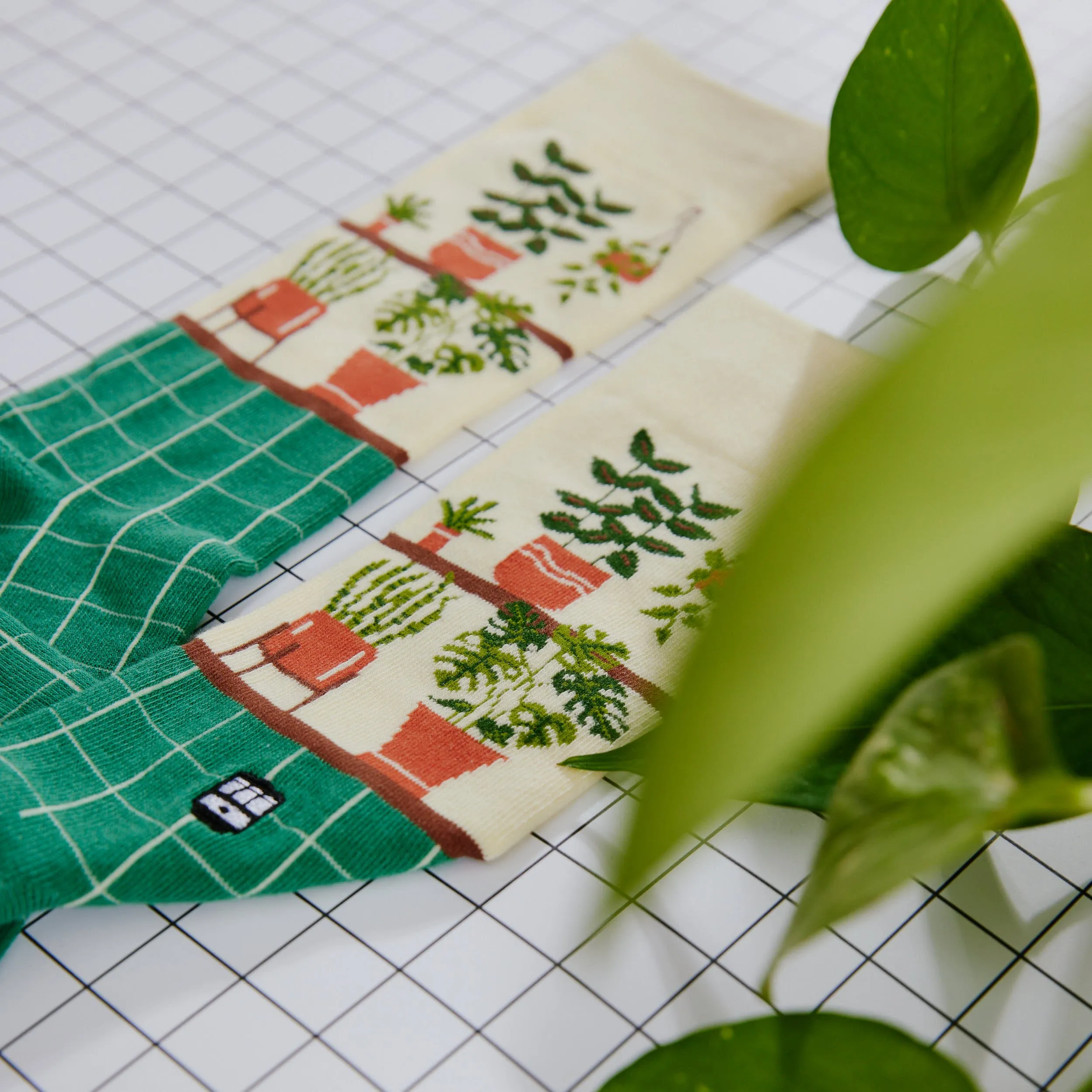 Potted Plants Socks