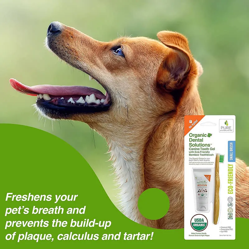 Pure and Natural Organic Tooth Gel and Bamboo Toothbrush for Large Dogs