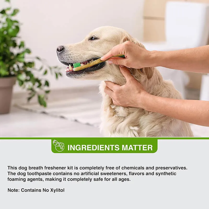 Pure and Natural Organic Tooth Gel and Bamboo Toothbrush for Large Dogs