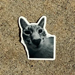 Silly Kitty Stickers