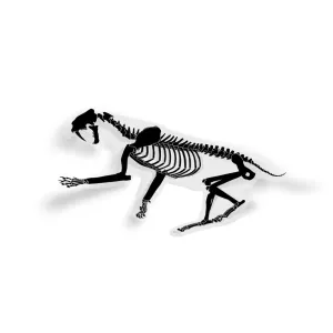 Smilodon Fossil Saber-Toothed Cat Sticker