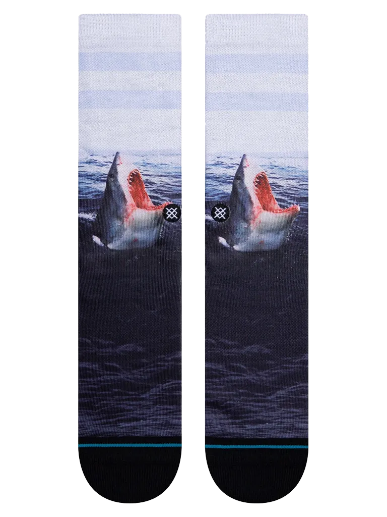 Stance Landlord