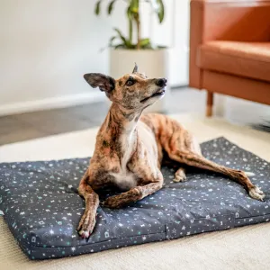 Starry Night Mattress & Cover