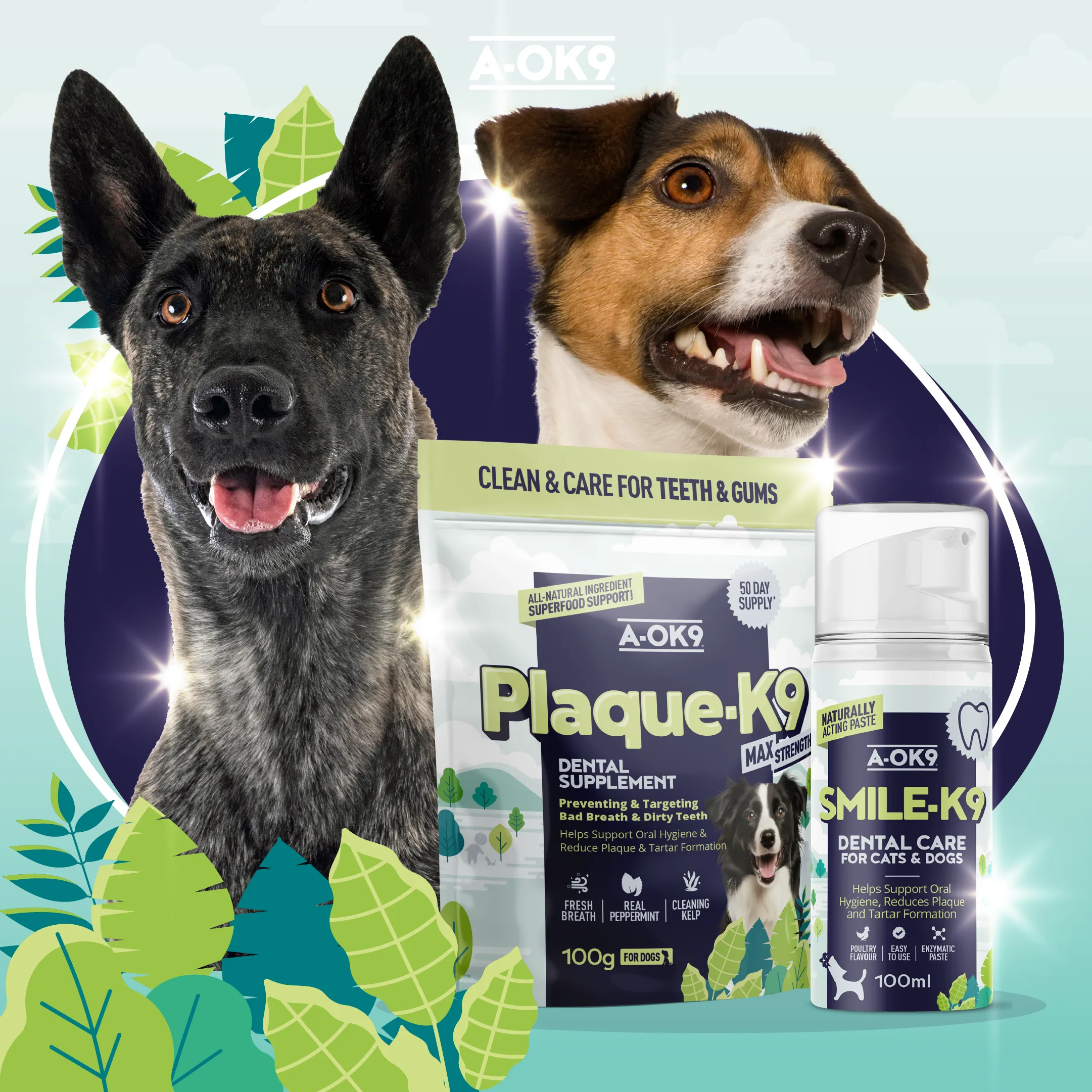 The Dental Duo Pack