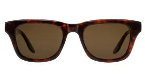 THUNDERBALL 007-Chestnut / Sequoia Polarized