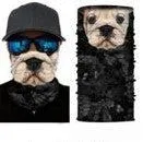 XMI bulldog gaitor